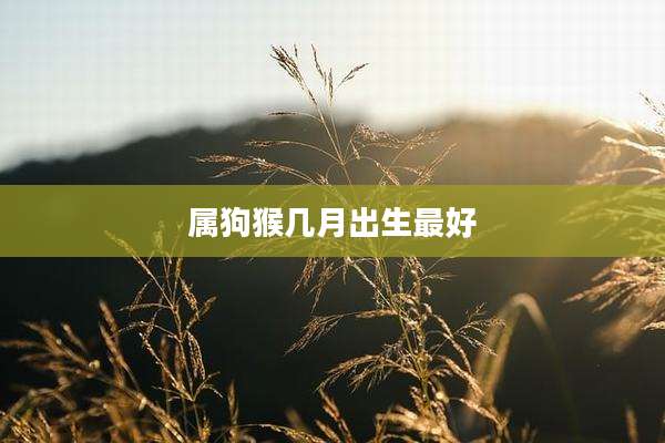 属狗猴几月出生最好