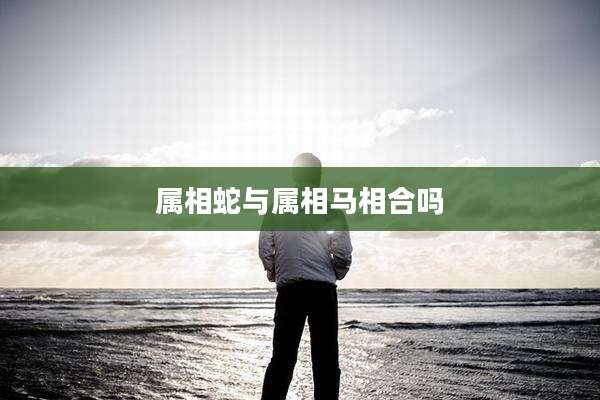属相蛇与属相马相合吗