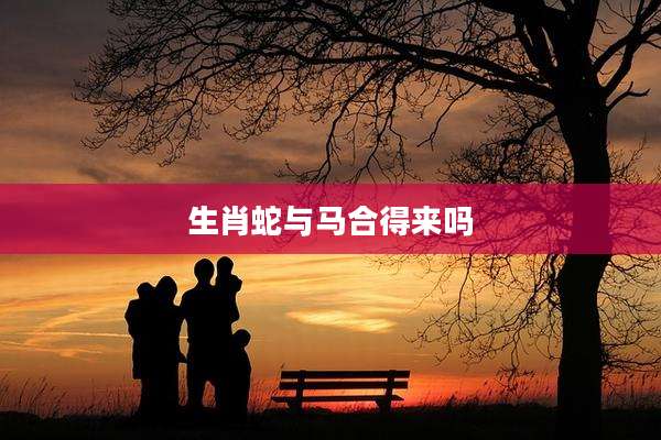 生肖蛇与马合得来吗