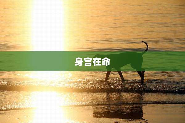 身宫在命