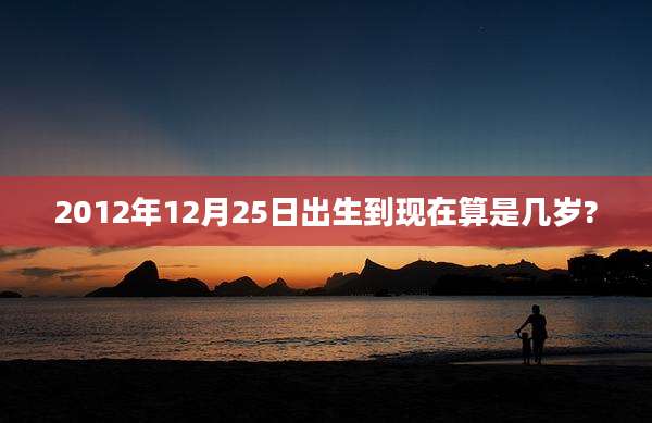 2012年12月25日出生到现在算是几岁?
