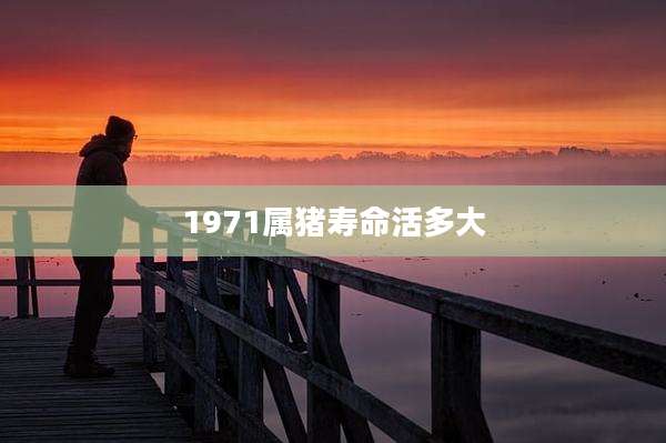 1971属猪寿命活多大