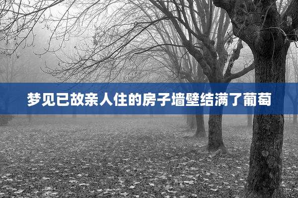 梦见已故亲人住的房子墙壁结满了葡萄