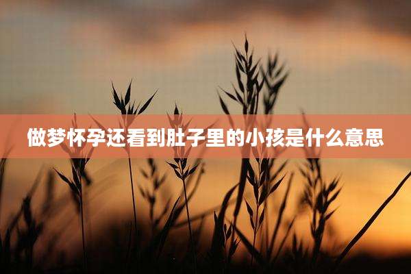 做梦怀孕还看到肚子里的小孩是什么意思