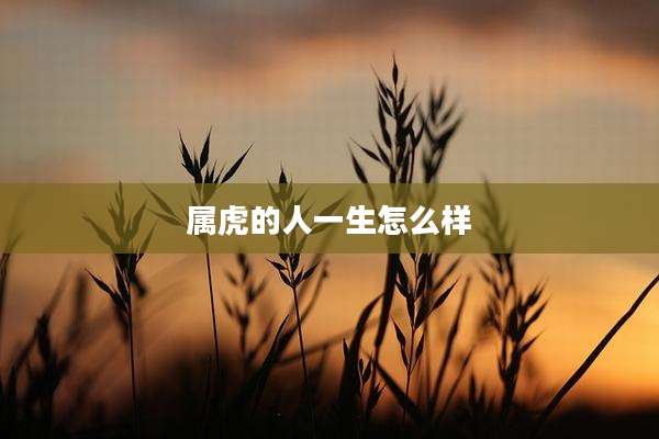 属虎的人一生怎么样
