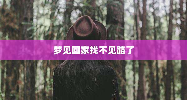 梦见回家找不见路了
