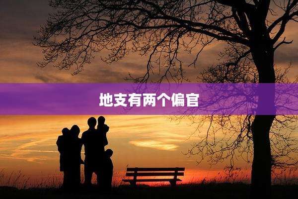 地支有两个偏官