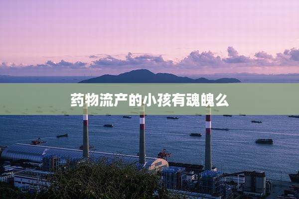 药物流产的小孩有魂魄么