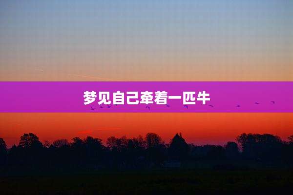 梦见自己牵着一匹牛