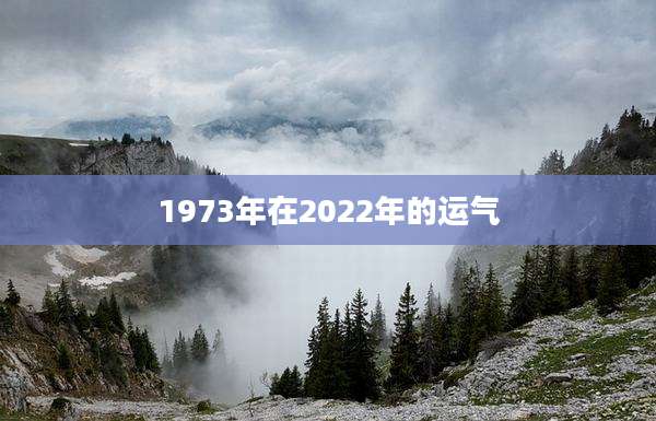 1973年在2022年的运气