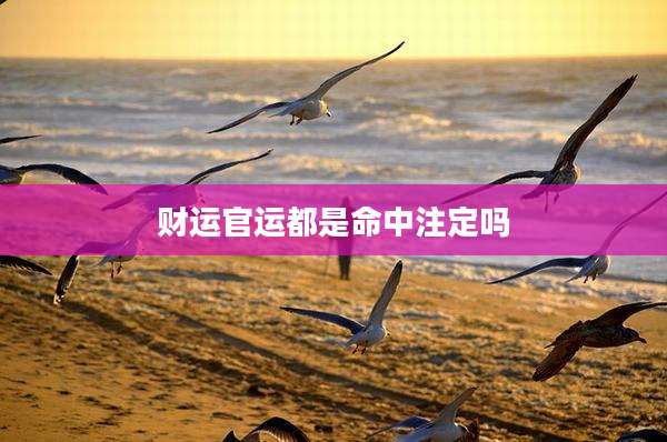 财运官运都是命中注定吗