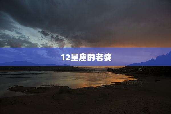12星座的老婆