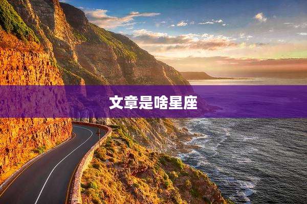 文章是啥星座