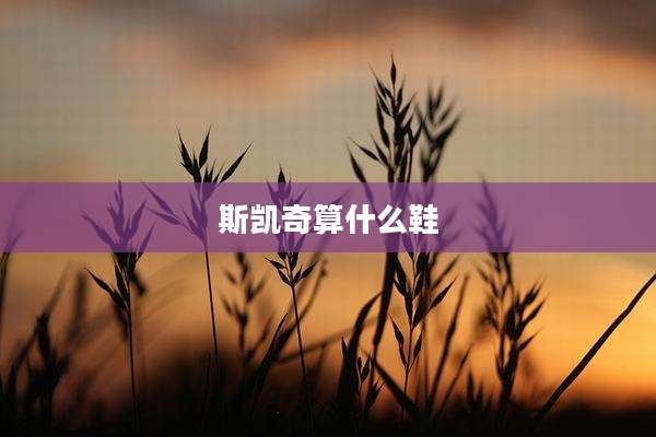 斯凯奇算什么鞋