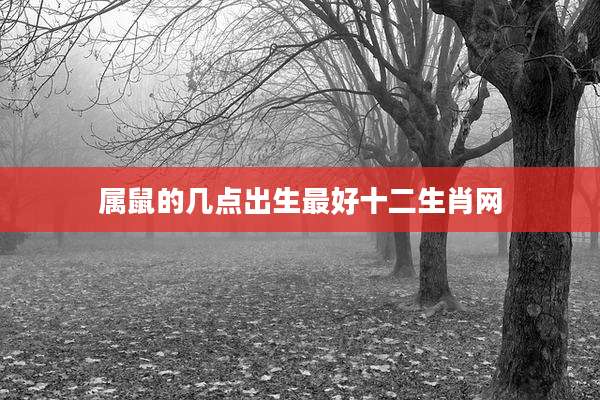 属鼠的几点出生最好十二生肖网