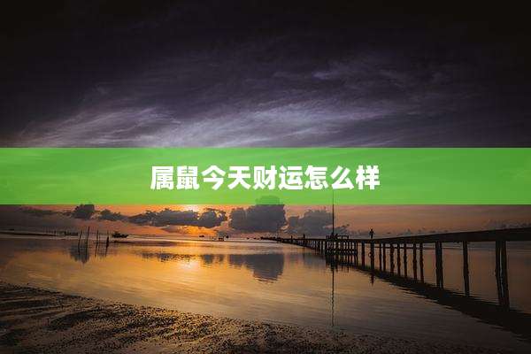 属鼠今天财运怎么样