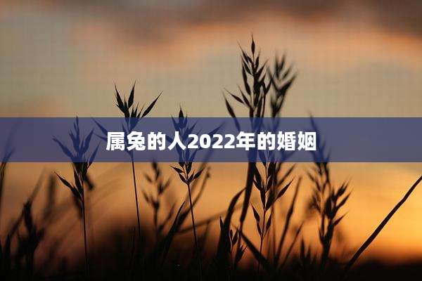 属兔的人2022年的婚姻