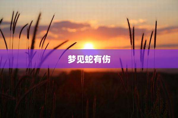 梦见蛇有伤