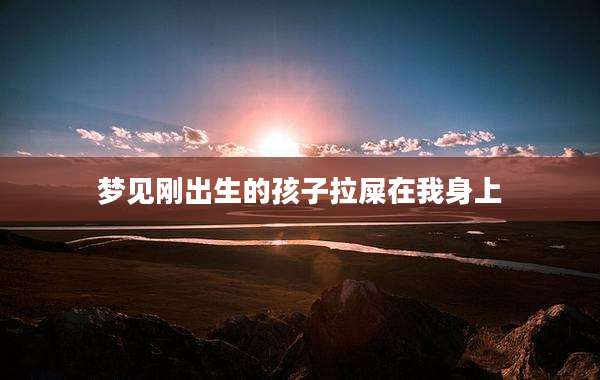 梦见刚出生的孩子拉屎在我身上