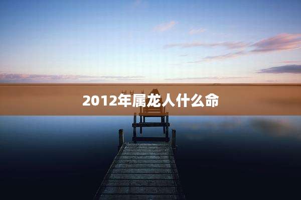 2012年属龙人什么命