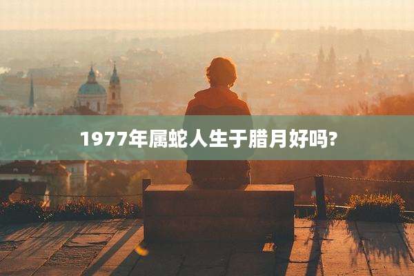 1977年属蛇人生于腊月好吗?