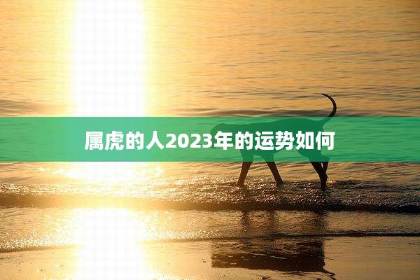 属虎的人2023年的运势如何