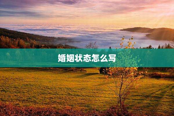 婚姻状态怎么写