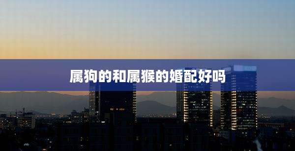 属狗的和属猴的婚配好吗