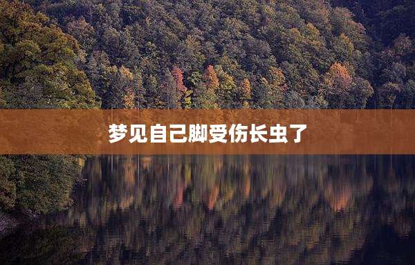 梦见自己脚受伤长虫了