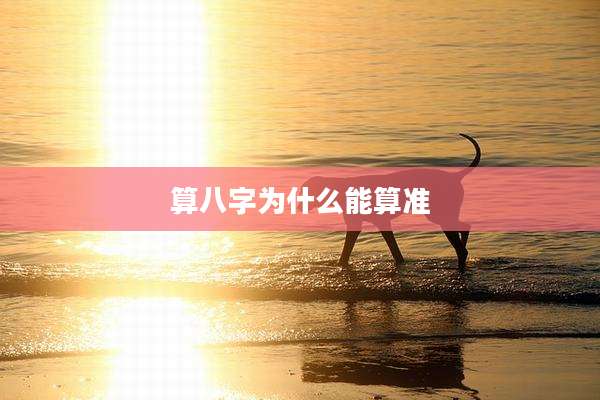 算八字为什么能算准