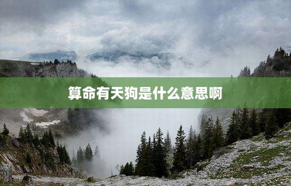 算命有天狗是什么意思啊