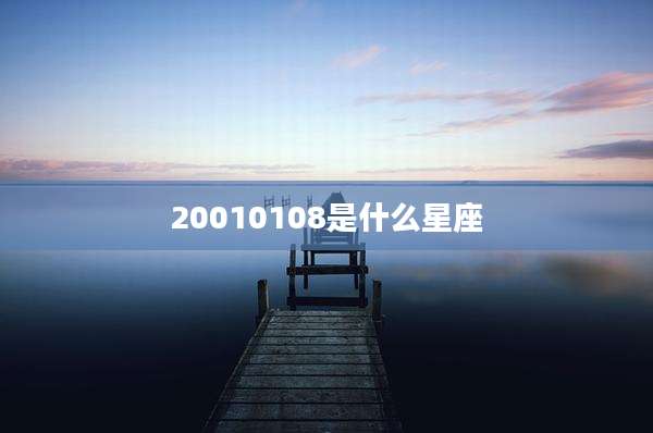 20010108是什么星座