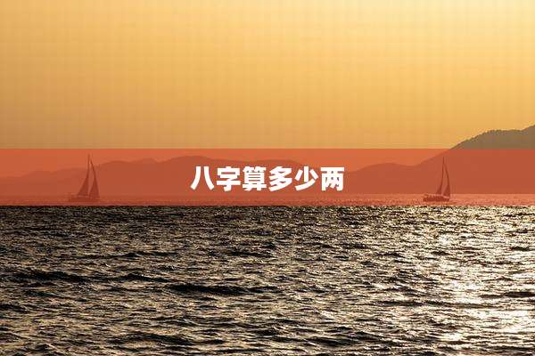 八字算多少两