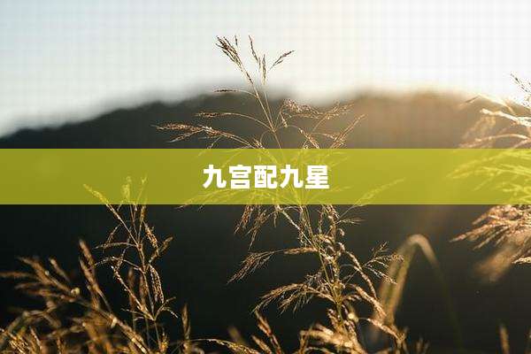 九宫配九星