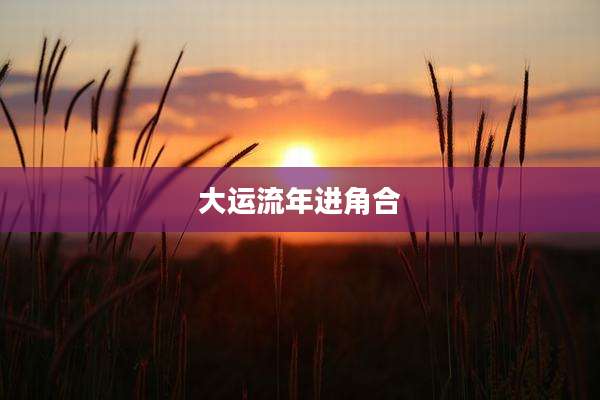 大运流年进角合