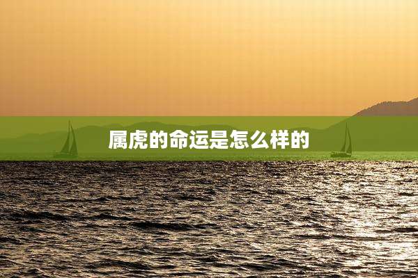 属虎的命运是怎么样的