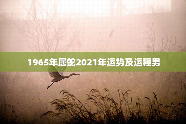 1965年属蛇2021年运势及运程男