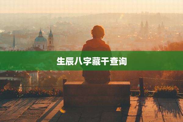生辰八字藏干查询