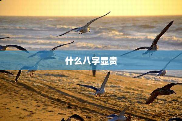 什么八字显贵