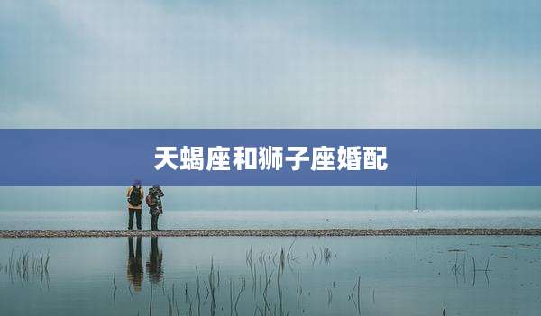 天蝎座和狮子座婚配