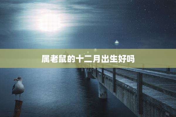 属老鼠的十二月出生好吗