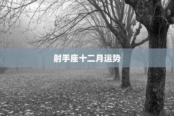 射手座十二月运势