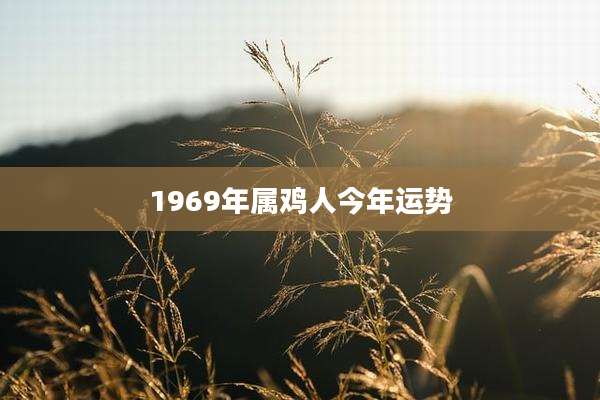 1969年属鸡人今年运势