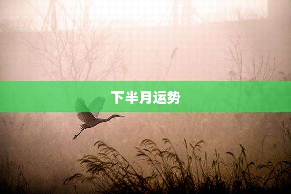 下半月运势