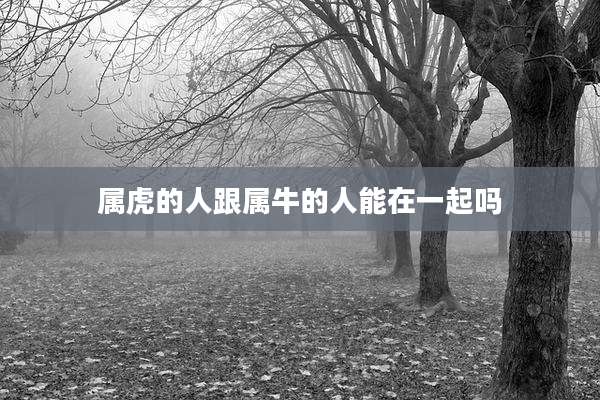 属虎的人跟属牛的人能在一起吗