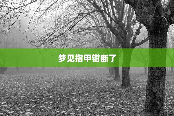 梦见指甲钳断了