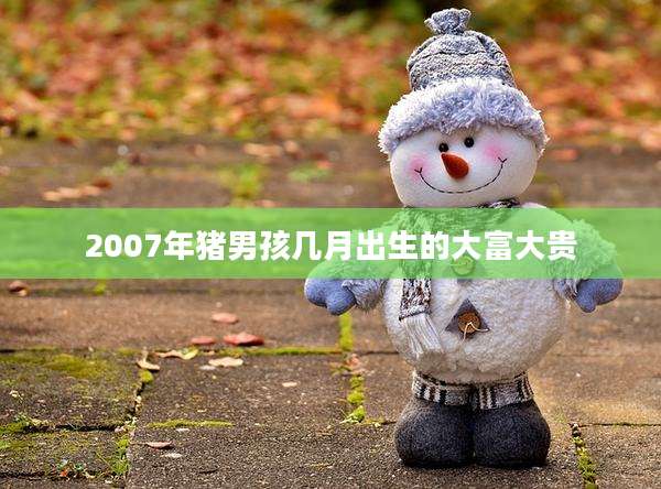 2007年猪男孩几月出生的大富大贵