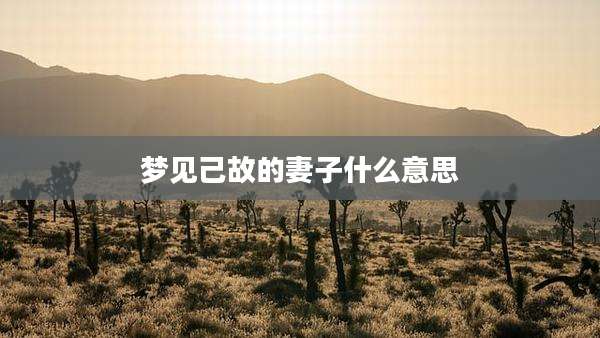 梦见己故的妻子什么意思