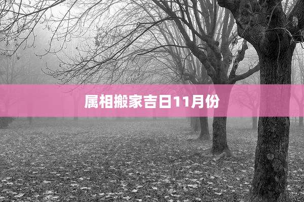 属相搬家吉日11月份