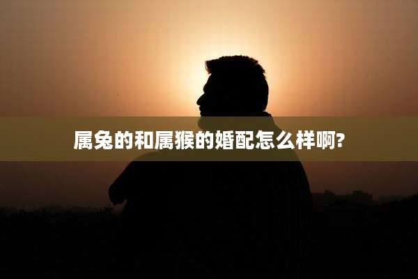 属兔的和属猴的婚配怎么样啊?